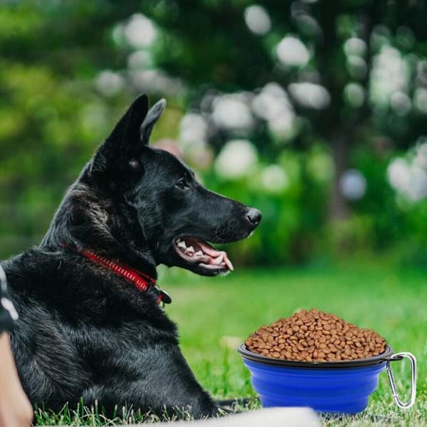 2 stycken hopfällbara hundskålar, reseskålar för hundar och katter (1000 ml, blå och grön)