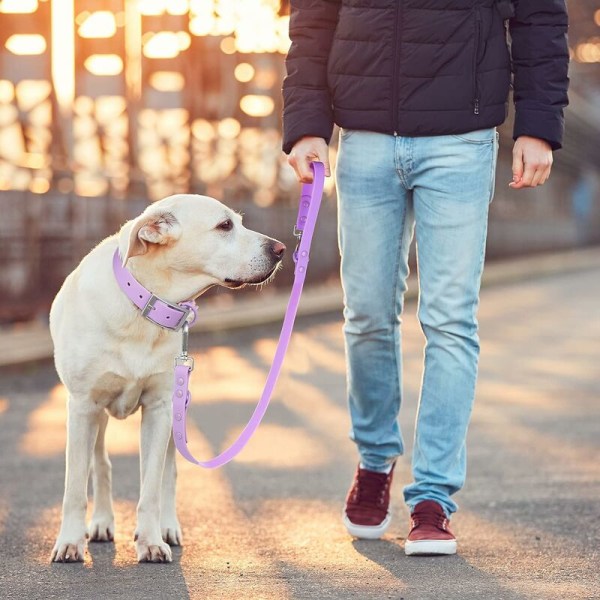 Vandtæt hundesnor: Standard hundesnore med 2 kroge til gåture, justerbare længder, holdbar og lugtbestandig (lilla, L 1" × 6')