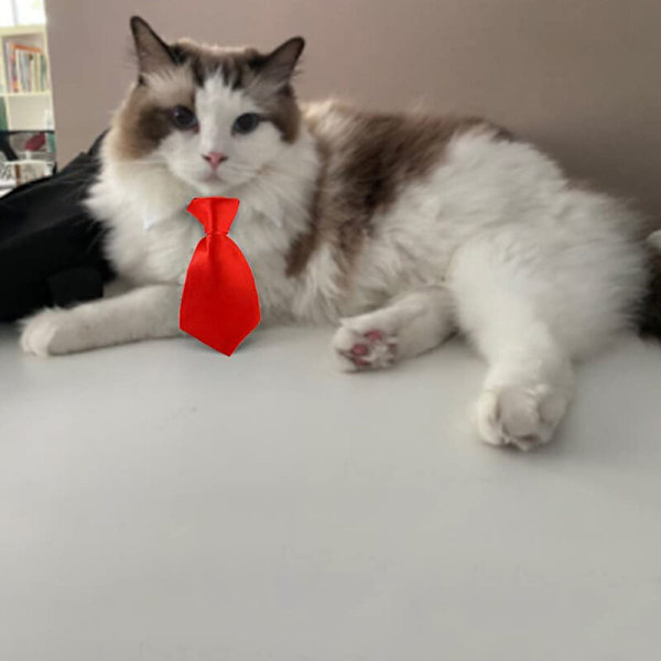 4 st Hundkatt Fluga Husdjur Kostym Justerbar Formell Slips Krage för Små Hundar Valp (Svart + Röd)