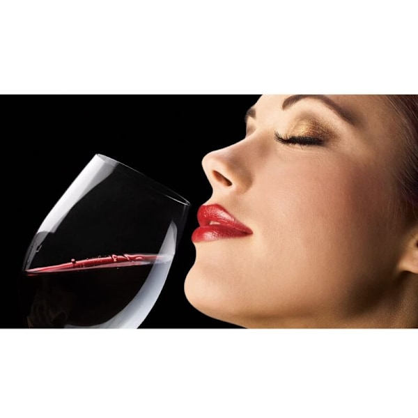 Vinaerator Magic Dekanter Deluxe med Stativ Luksus Vin Karaffel Vin Dekanter Hælde