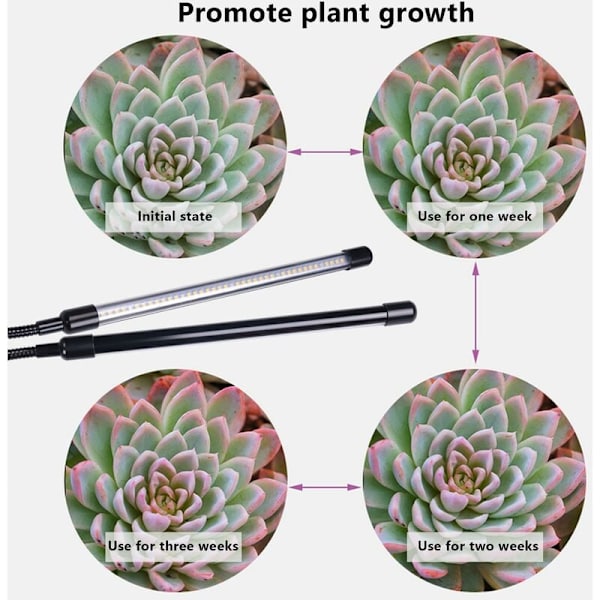 USB LED Inomhusväxtlampa, 40W Fullspektrum Phytolampor Solljus Vit för Växter Hemma Hydroponics Succulent Växthus
