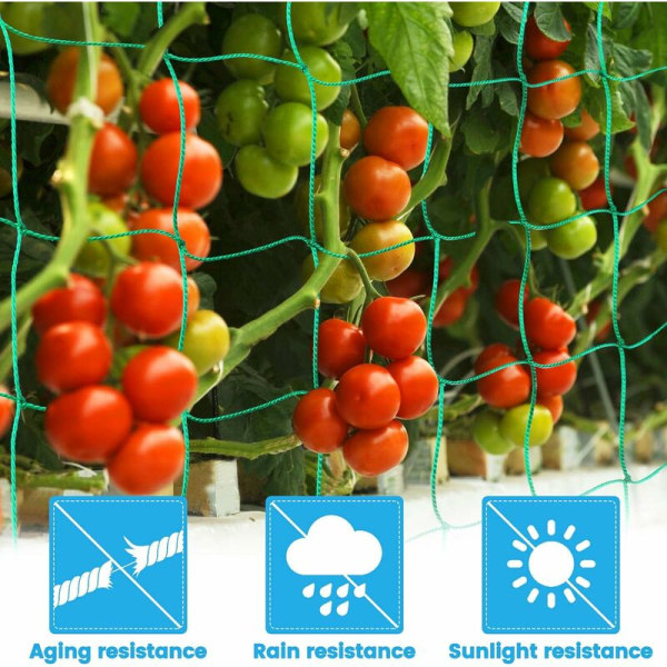 Have Net, Planter Net, Rækkenet til Høst af Agurker, Grøntsager, Tomater og Andre Grøntsager, Sikringsnet til Klatreplanter