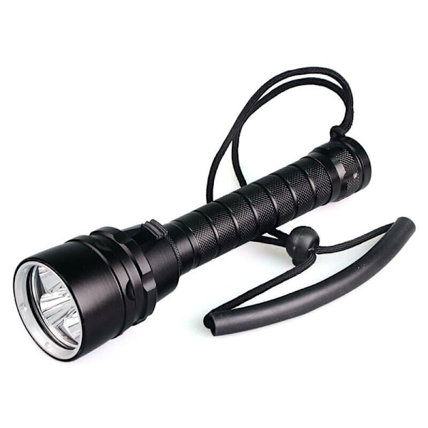 BigMac Cree L2 LED Dykke-lommelykt 100M Under vann Vanntett Oppladbar Batteri Lys og Lader Inkludert