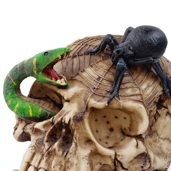 Orm djurskalle modell hartsskalle hantverk ornament Halloween dekoration skräcktillbehör filmrekvisita