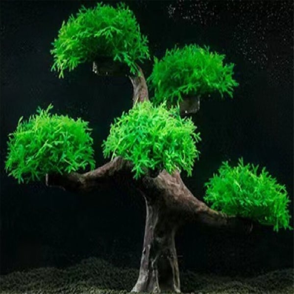Kunstig Vandplante Akvarieplante Terrarium Akvarie Ornamenter Dekorationer Akvarie Simulation Mos Træ Ornament