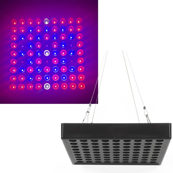 Täyden spektrin LED-kasvivalo, korkea hyötysuhde, kirkas kasvivalo sisätilojen taimille, EU-pistoke 85-265V, 81 helmeä (50W)
