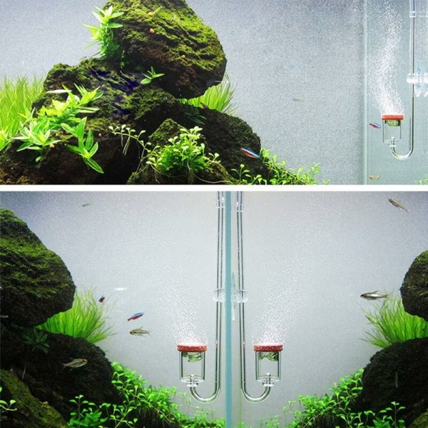 CO2-diffusor, gjennomsiktig akryl CO2-diffusor, CO2-diffusor for akvarieplanter gressvann (M)