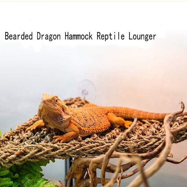 Reptil Skäggagam Ödla Hängmatta Reptil Sängkläder Eremitkrabba Klättring Tillbehör 2 st