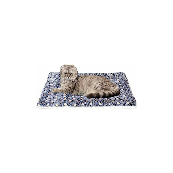 Lemmikkipeitto, Premium Fluffy Flannel -tyyny, Pehmeä ja lämmin alusta koirille ja kissoille, Pieni koko, Siniset tähtieläimet