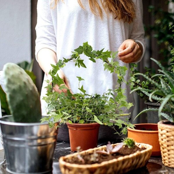 Espalier til indendørs potteplanter, velegnet til klatreplanter, indendørs og udendørs klatreplanter