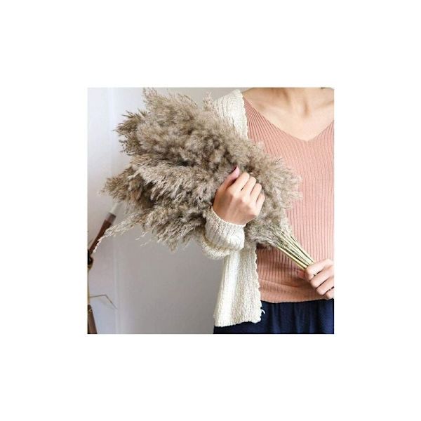 20 kpl 50-60 cm Pampas-ruohoa luonnollisesti kuivattu hääkimppu muodikkaita keinotekoisia kukkia kodin sisustukseen maljakoihin