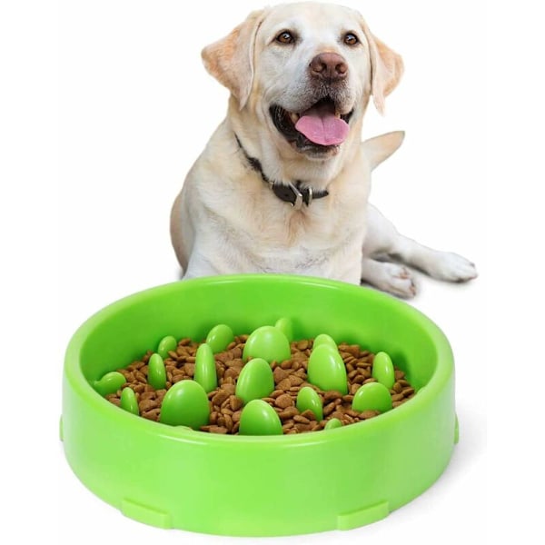Langsomt foderskål til hunde, langsomt foderskål skridsikkert design sjovt interaktivt foderskål til katte og hunde, fremmer sund spisning og langsom fordøjelse