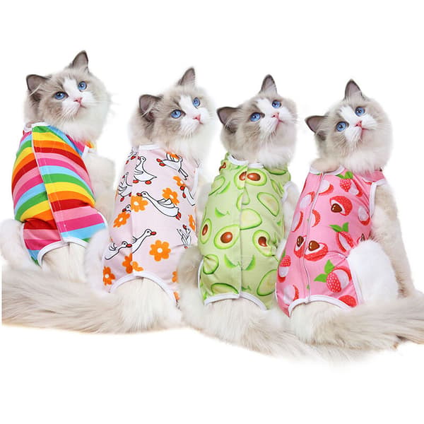 Kat Kastrationskjole - Kat Bomulds Recovery Wrap（Farverige striber L ryglængde 30cm）