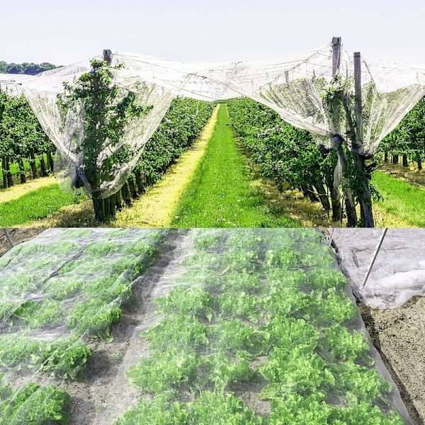 Grøntsagsbeskyttelsesnet, 6X2.5M Mesh Anti-Insekt Net, Havebeskyttelse Insekter Med Nælfastgørelsespæle, Til Beskyttelse Af Planter Frugt Blomster Afgrøder