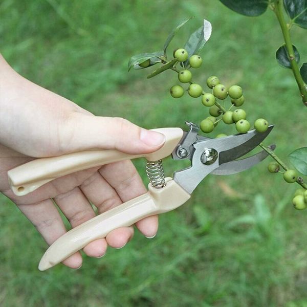 2PCS hagesaks, grensaks og jordstengelsaks, egnet for nybegynnere for hageplanter og fruktplukking-