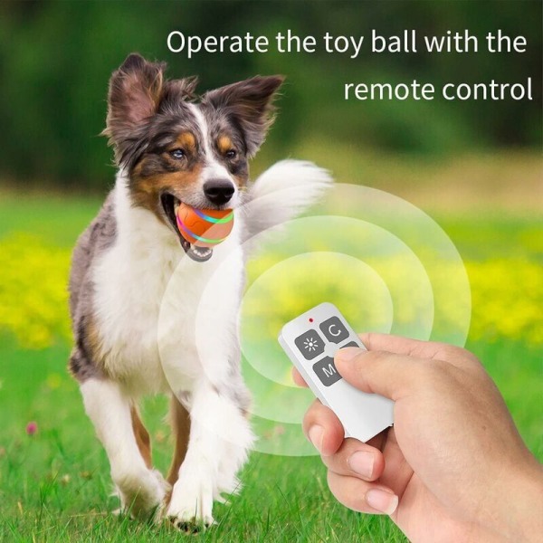 Interactive Pet Toy Ball Dog Toy Ball Self-Rolling Cat Toy Ball with LED Light USB Rechargeable Orange