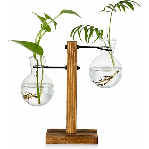 Formeringsstation med Træhylde 2 Pære Vintage Avocado Vase Glas Reagensglas Vaser til Blomster Acorn Plant til Hjem Bord Skrivebord Indendørs Dekoration-DENU