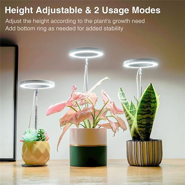 Växtlampa för inomhusbruk, Spectrum Halo LED-lampa med höjdjusterbar automatisk timer, för växter