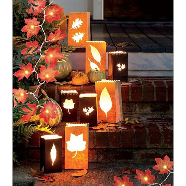 2 Pak Maple Leaf Lysstreng 3m 20 LED'er Efterårs Dekoration Lysstreng til Thanksgiving Jul Festival Fest