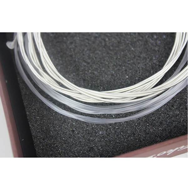 DPC-028 Professionella Högkvalitativa Opal Nylon Strängar för Klassisk Gitarr Uppgradering Individuell Förpackning