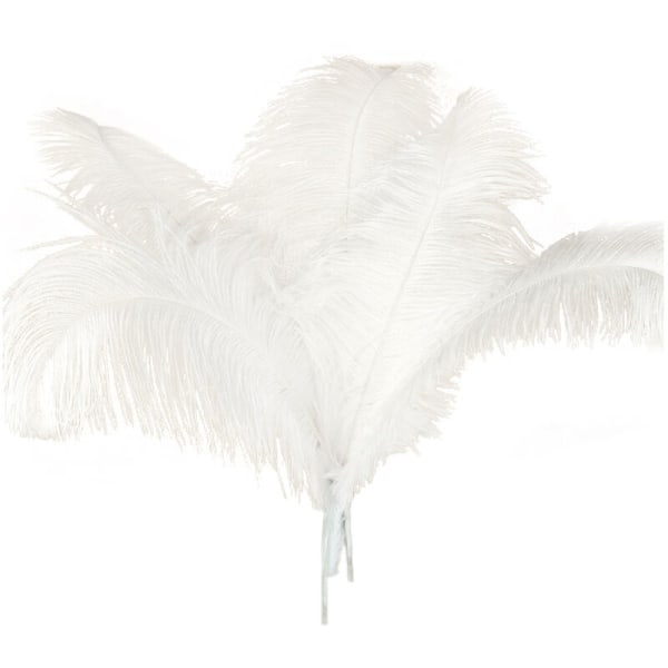 5 Pcs Natural Ostrich Feathers Decoration White 45-50Cm