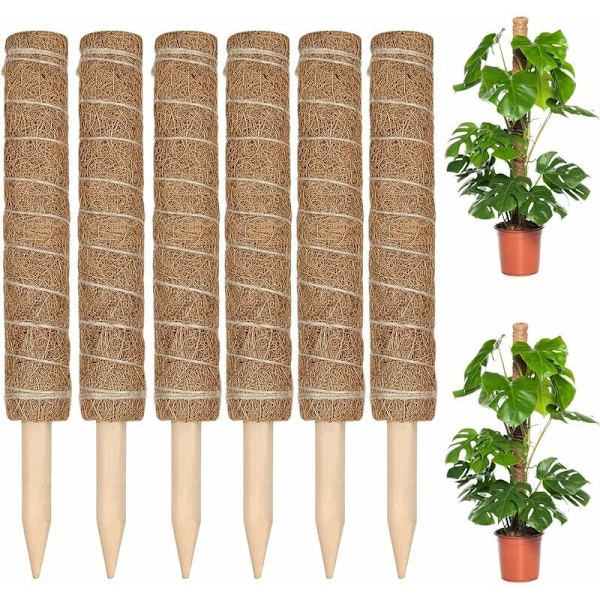 Set med 6 klätterväxtstöd, Kokosstav 30CM, Kokosstav Växtstöd för Klätterväxter Förlängning med
