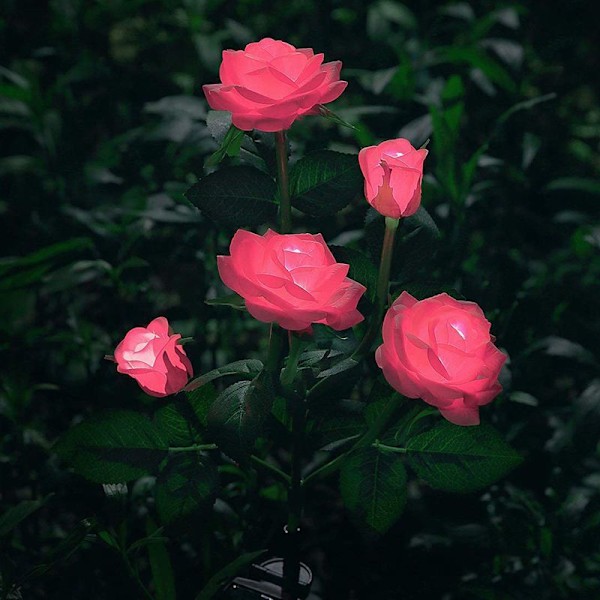 Blomsterformet solcellebelysning til hagedekorasjon -- Rosa
