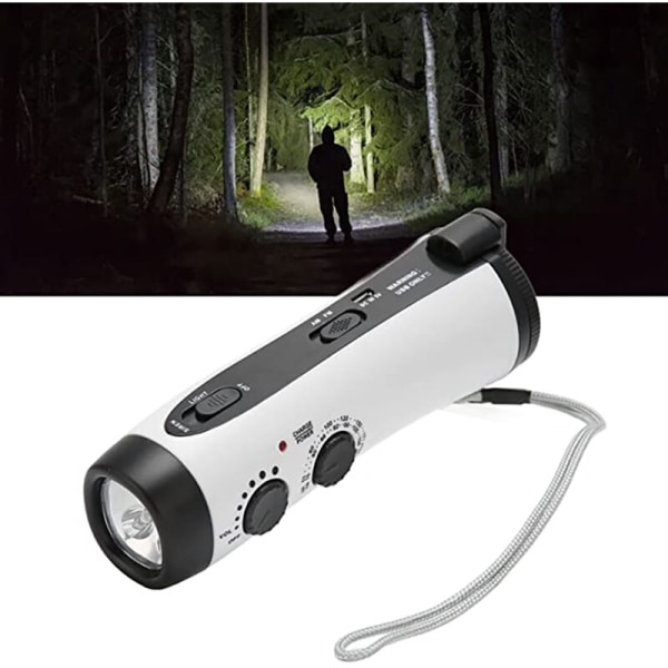 D300 Bärbar Multifunktionell Radio Handvev Generator Nödströmförsörjning 5 LED Ficklampa AM/FM Radio för Utomhus