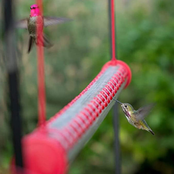 Hengende fuglemater med hull Transparent fôrrør Finker Fuglemater Utendørs hage Vindusdekorasjon-A