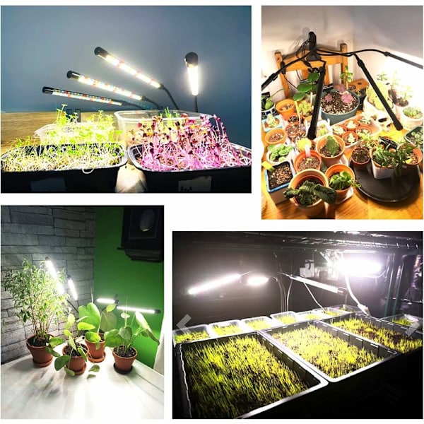 Plantelys, 2020 Ny 80 LED'er 4 Hoveder Grolys, AUTO Timing - ON/OFF Hortikulturel Led-lampe til Frøplanter, Sukkulenter, Orkideer (660nm/3000K/5000K)