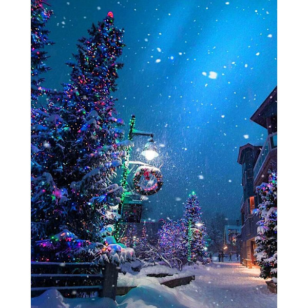 Set med 2 ljusslingor, 5M 50LED ljusslingor, batteridrivna mini LED-ljusslingor, inomhus ljusslingor, dekoration för sovrum, jul, W