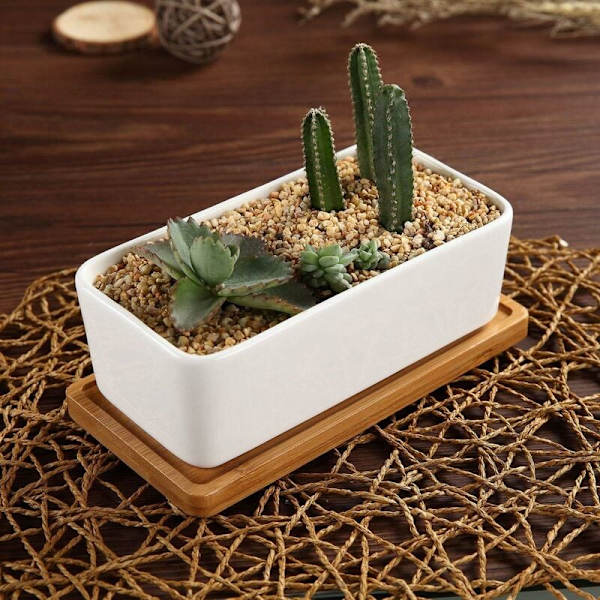 17 cm keramisk suckulentkruka med vit bambu-bricka, set med 2, kaktusväxtkruka, kruka, planteringsbehållare, present till födelsedag, bröllop