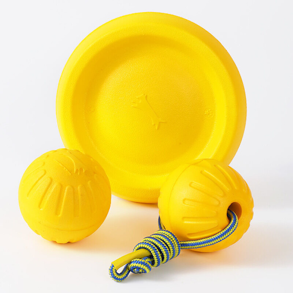 Skum Flytande Vattenleksak Hundträning Tuggleksak Husdjur Bitsäkert Boll Frisbee