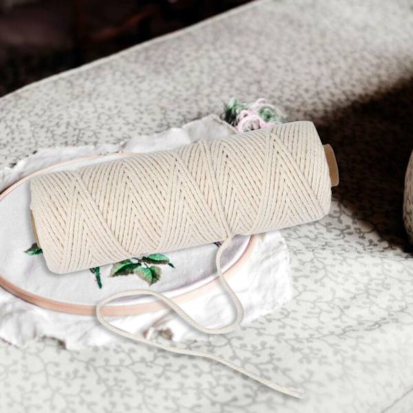 2 rullar 2 mm 100 meter för packning DIY-hantverk, hållbart rep för trädgårdsarbete