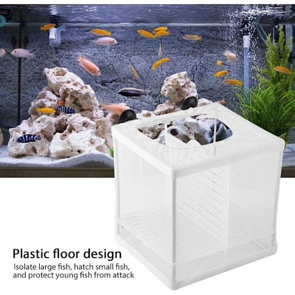 Fisk Yngelkläckningsnätlåda Akvarium Avel Kläckeri Fisk Tank Isolering Låda Ung Fisk Yngelkläckare med Isoleringsskiva-Fei Yu