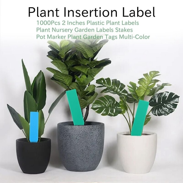 1000 st 2 tum i Plast Växtmärken Plant Nursery Trädgårdsetiketter Stakes Pot Marker Växt Trädgårdsetiketter Flerfärgade