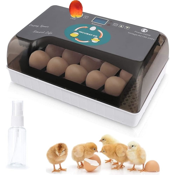 Fjærkreklekker og inkubator-inkubatorgavesett for barn, helautomatisk eggkuvøse med LED-lysestake og automatisk snuing, liten digital