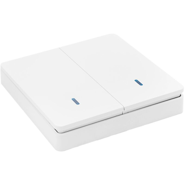Smart Lyskontakt RF 433MHz Belysningsstyring Smart Kontakt AC 90-250V 10A Modul (2W & 2C & 2 Fjernbetjening)