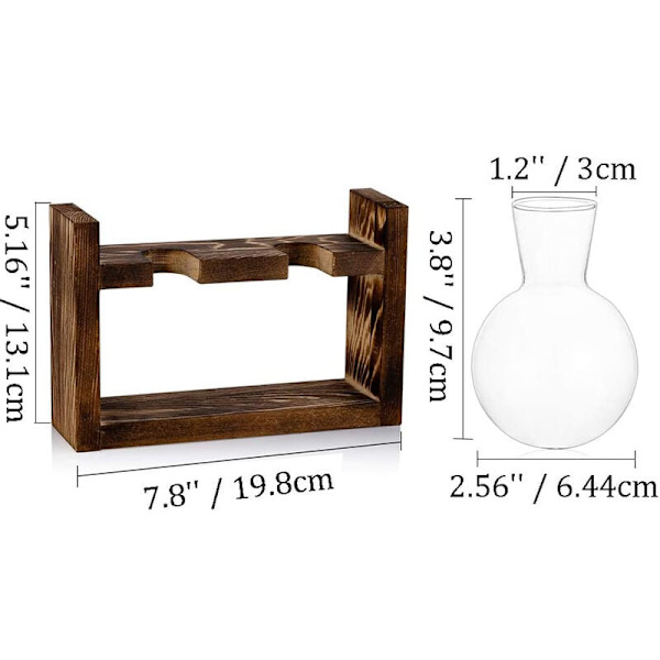 Lisääntymisasema Lasinen Istutusastia Maljakko Terrarium Pöytäkasvit Työpöytä Pyöreä Lasimaljakko Puussa, 20 Cm