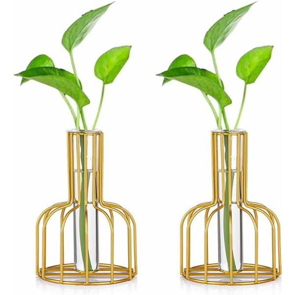 Mini Vas Set - Små Vas för Borddekoration - Modern Knoppblomma Vas - Hydroponisk Glasvas - Provrör (Guld) - Fei Yu