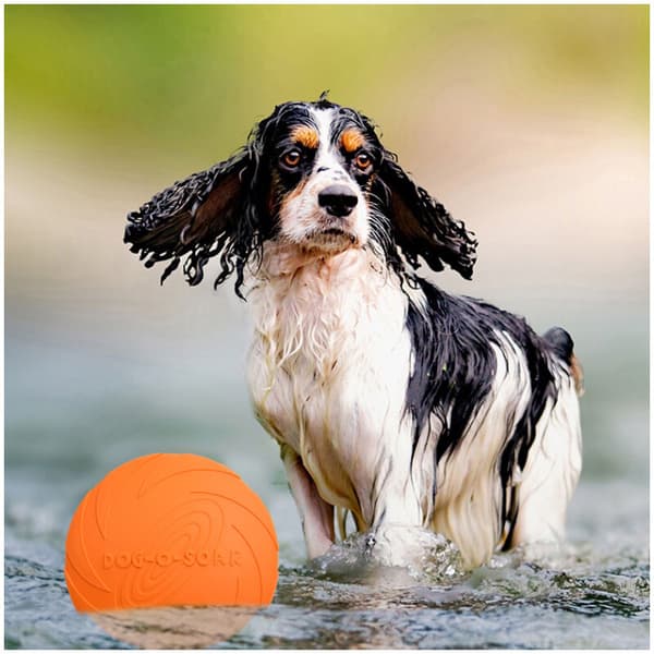 Frisbee hundeskål (mørkegrønn)