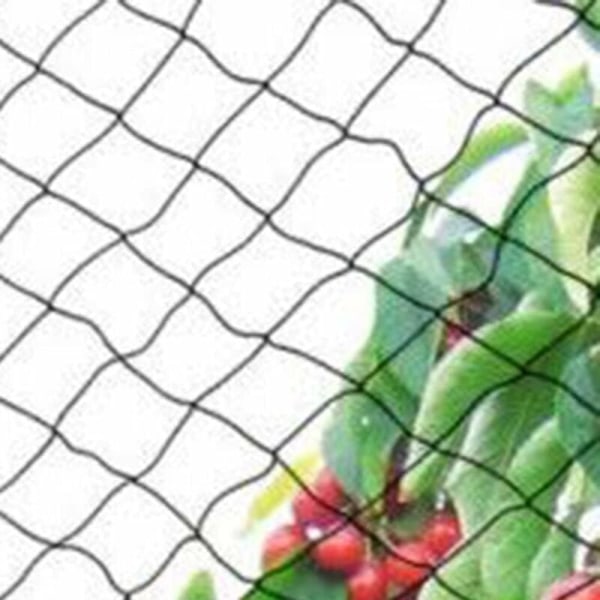 Lintuhäkkiverkko, 10 x 6 m leveä, lintuhäkkiverkko, vahva puutarhalammikon suojaverkko, hedelmille, vihanneksille--