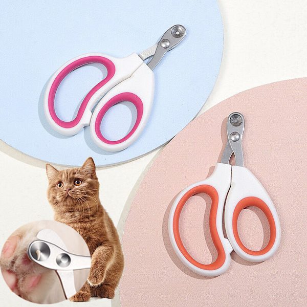 Praktisk att använda, SKÄR MED PRECISION, Mycket bra nagelklippare för katter, Enkel att använda för en nybörjare-orange