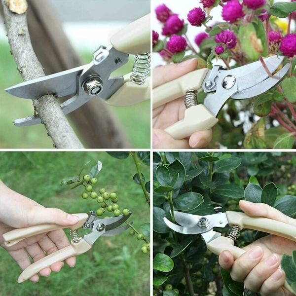 2PCS hagesaks, grensaks og jordstengelsaks, egnet for nybegynnere for hageplanter og fruktplukking-