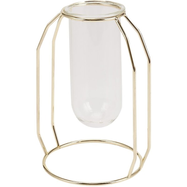 Nordisk glasvas, modern guldpläterad järnblomvas, trendig växtvas, bröllopsdekoration, kreativt terrariumrum (kort)
