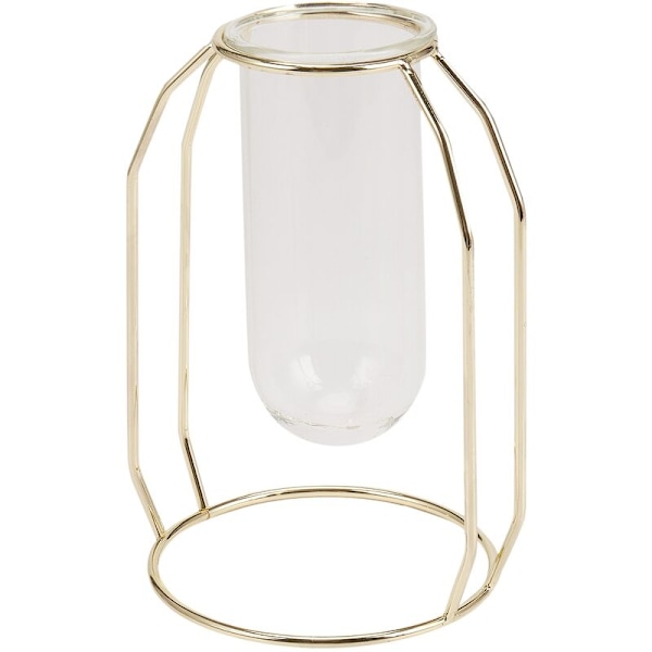 Nordisk Glasvase Skål Moderne Guldbelagt Jern Blomster Vase Fashionable Plante Vase Bryllup Dekoration Kreativ Terrarium Rum (Kort)