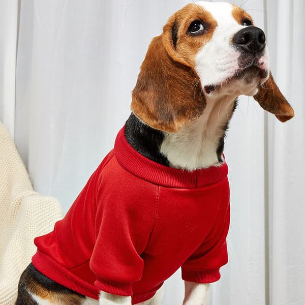 Fashion Pet Sweater Efterår Vinter Hunde Tøj Pet Sweater（S）