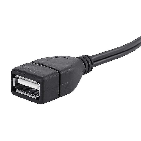 1,5 m USB A hunnkontakt til 2 RCA hannkontakt lyd- og videoforlengelseskabel