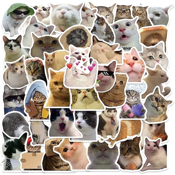 50 stk Cat Stickers Packs, estetisk vinyl vanntette dekaler