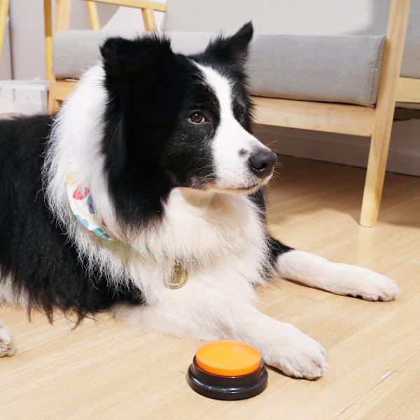 4 optageknapper til hunde, multifunktionel 30-sekunders knap, egnet til hunde, katte og kæledyr